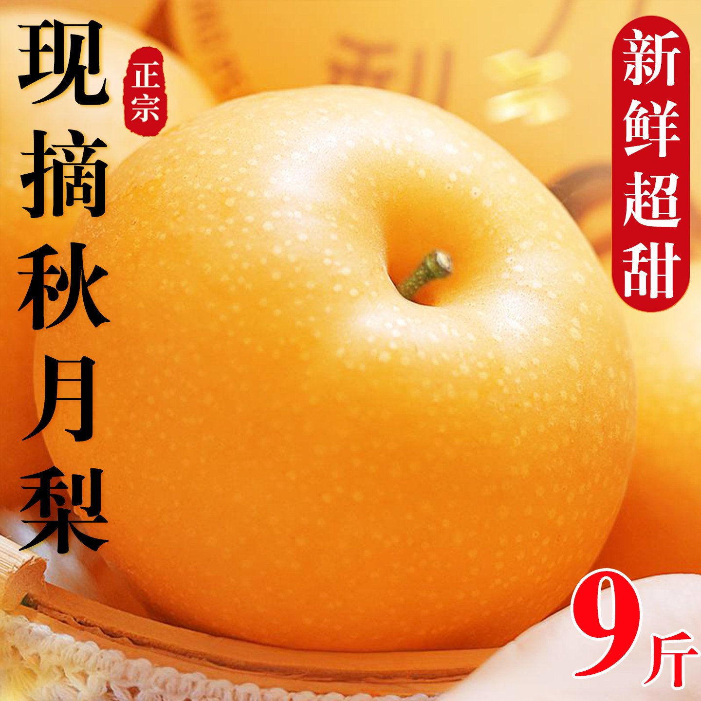 山东秋月梨新鲜梨子当季现摘莱阳