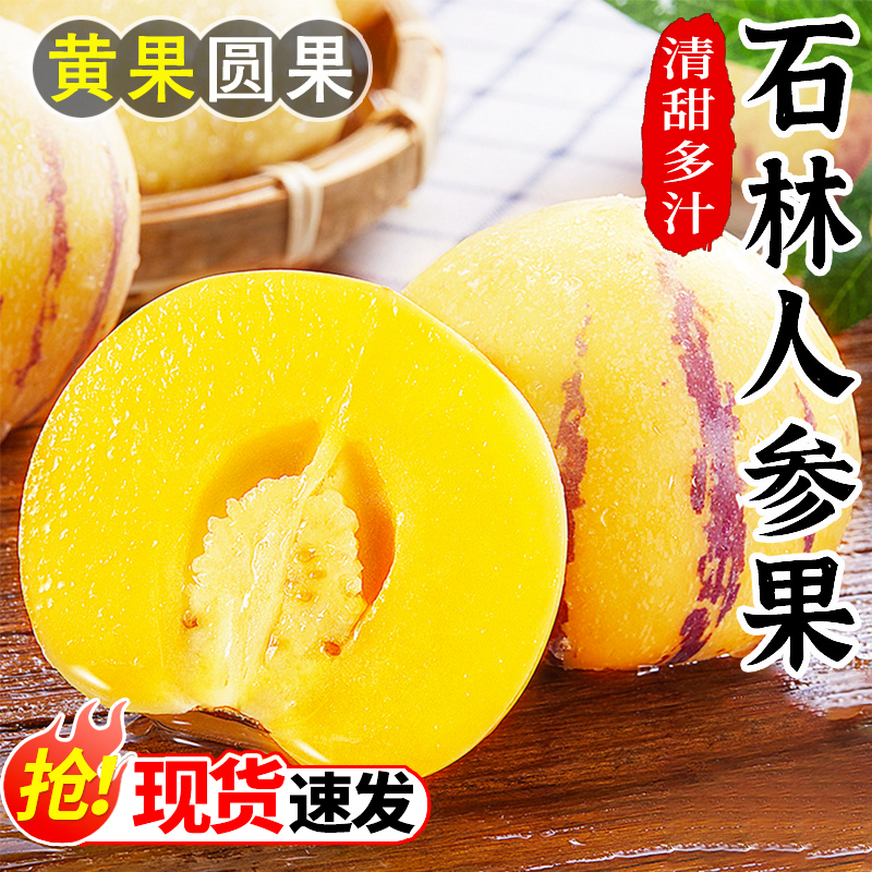 云南石林人参果新鲜水果黄心圆果