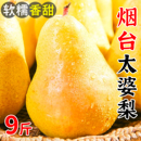 山东烟台太婆梨新鲜香蕉梨软梨老婆梨大头梨香梨洋茄梨啤梨水果10