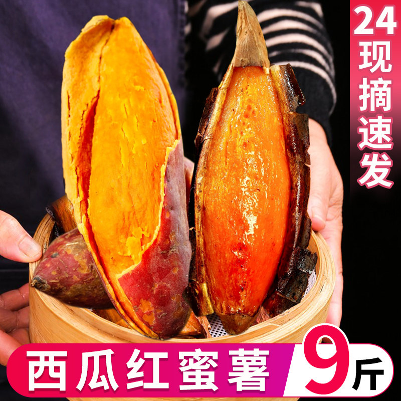 西瓜红蜜薯9斤糖心沙地板栗番薯整箱新鲜六鳌蜜薯农家自种地瓜5