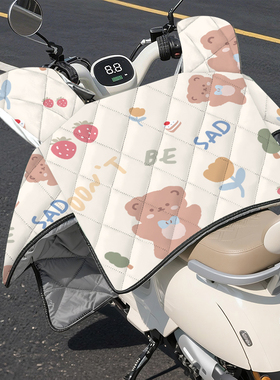 挡风被电动车四季通用双面防水小电瓶车中厚春秋款冬季加厚防雨罩