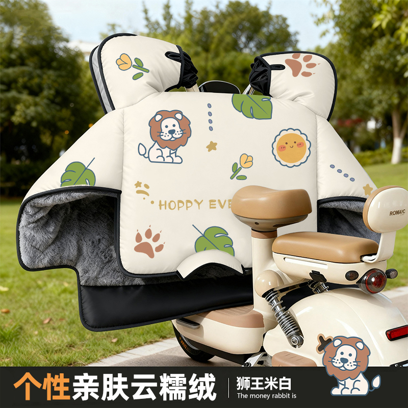 25新款小型电动车冬季防寒挡风被