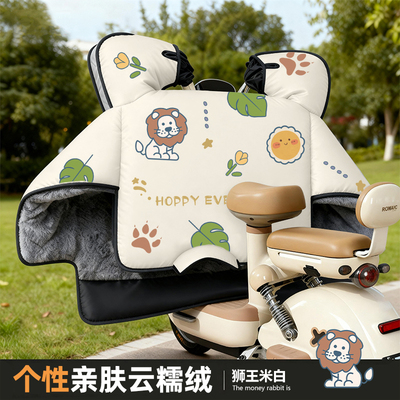 25新款小型电动车冬季防寒挡风被