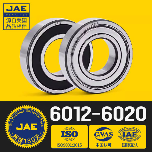 JAE高速轴承6012 6013 6014 6015 6016 6017 6018 6019 6020 Z RS