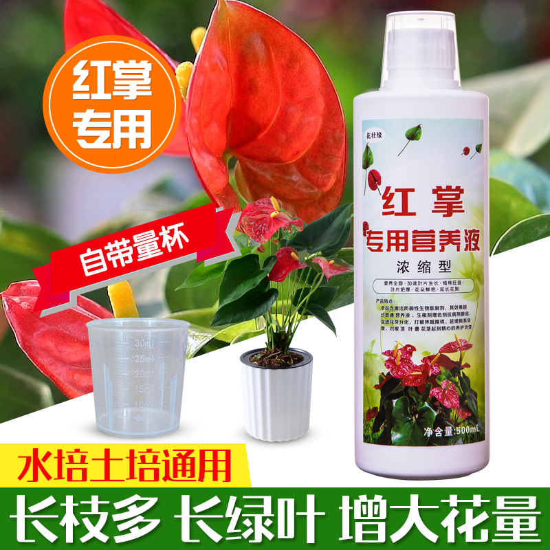 红掌粉掌白掌火鹤马m蹄莲花卉植物营养液盆栽水培土培液体肥有机