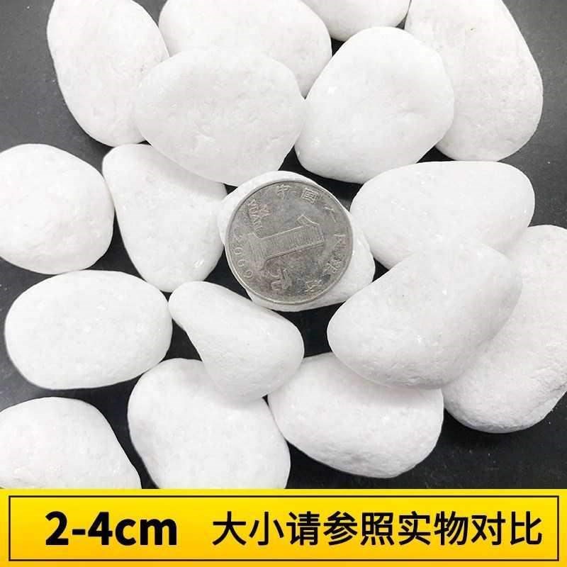 院子碎石铺装饰j装修阳台花瓶栽多肉植物花盆放白色里的小石头石