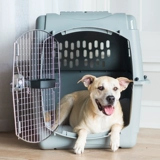 Petmate Original Imported Aviation Box Dog Parting Car Dog Cage маленькая, средняя большая собака до клетки