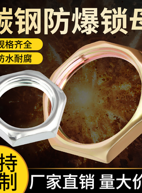 防爆六角螺母挠性管DN15DN20DN25接头锁母防爆锁紧锁母碳钢母螺