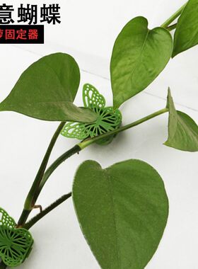 绿萝固定器绿植爬墙神器墙面绿箩固定花的卡扣爬藤吸盘攀藤蝴蝶扣