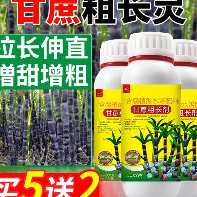 甘蔗拉直拉长灵膨大素专用叶面肥增长拉直灵拔节甘庶生长剂增甜