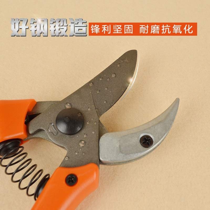 德沃多修枝剪修花木园艺工具剪刀果树剪子粗枝剪摘果花剪