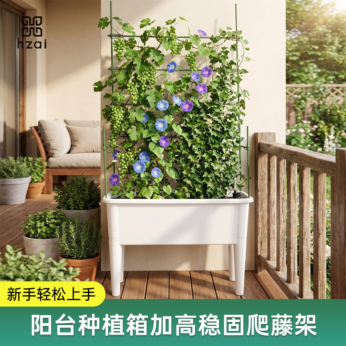 包塑钢管实用款承重强藤蔓不倒伏