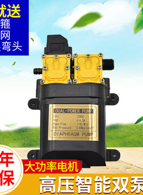 大功率智能双泵电动喷雾器水泵