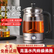 110V美规跨境煮茶器全自动家用煮茶器喷淋泡茶煮黑茶壶玻璃养生壶