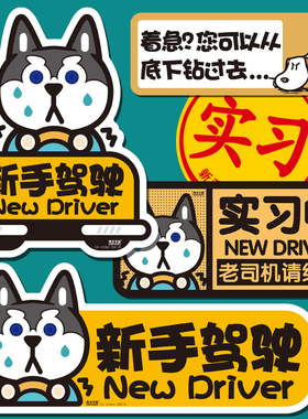 新手实习汽车贴纸磁吸反光车贴女司机贴纸哈士奇车饰白色绿车贴纸