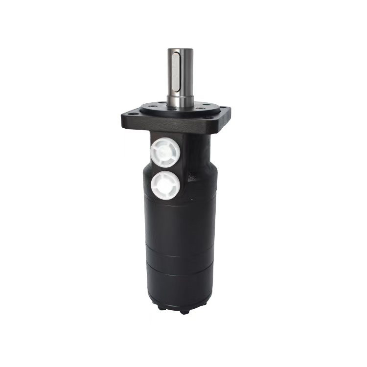 注塑机调模马达 替代中意 大力 自锁马达OMR,标准件/零部件/工业耗材,液压马达/油马达,淘宝优惠券,粉丝福利购,淘宝优惠卷