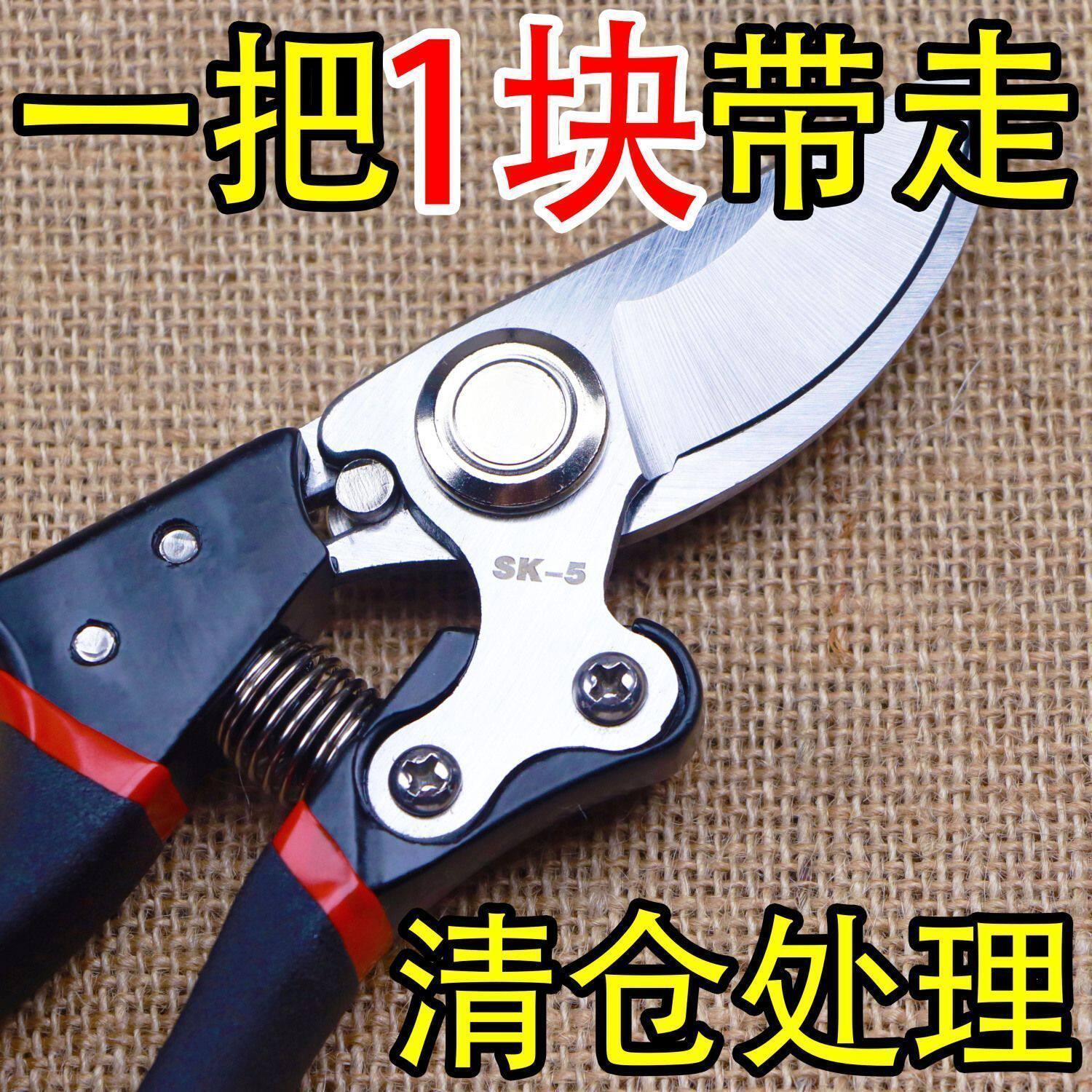 德国原装进口SK5强力园艺剪园林花卉修枝剪树剪子果树剪