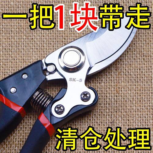 德国原装进口SK5强力园艺剪园林