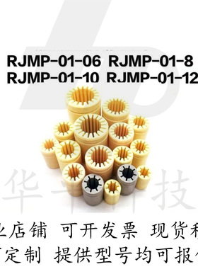 IGUS易格斯品质 RJMP-01 全塑料无油衬套直线轴承RJMP06 08 10 12