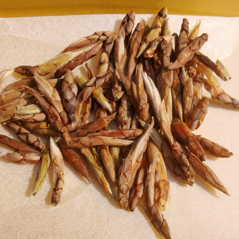 新品盐背子特级野生老鹰茶芽孢250g 四川重庆老荫茶红白茶火