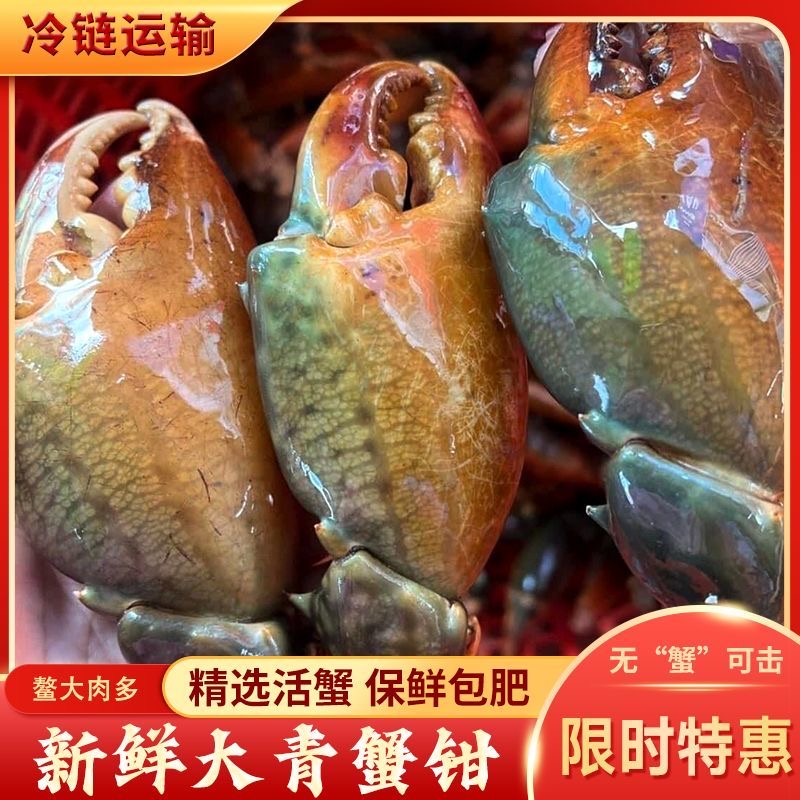 5斤新鲜现取青蟹钳活冻螃蟹腿商用餐馆批发蟹脚鳌大肉多特大鲟脚