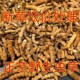 正宗野生虫草冬虫夏草断草精选10克装 断草非西藏那曲虫草泡酒滋补