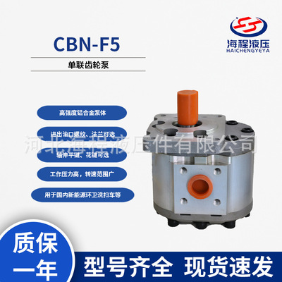 CBD-F5NT齿轮油泵环卫