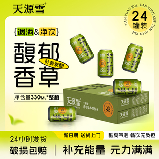 天源雪香草苏打汽水易拉罐气泡水听装 整箱饮品碳酸饮料330ml 罐装