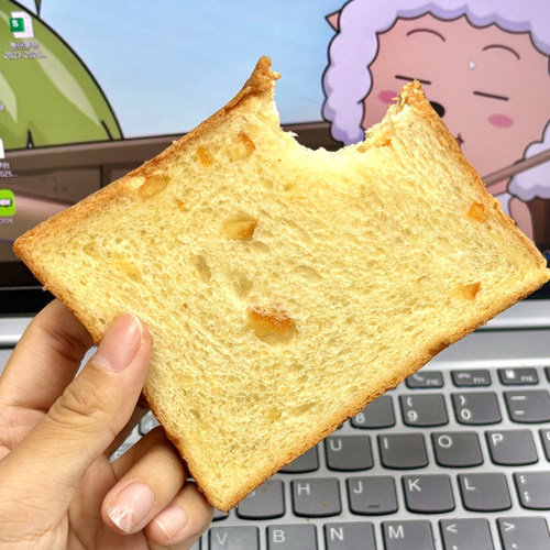 【学生早餐】橙子味吐司