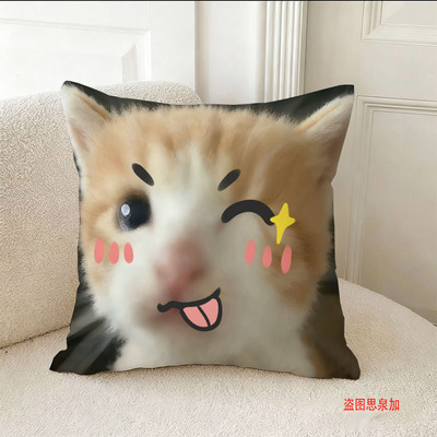 来图定制搞怪猫咪沙发靠垫