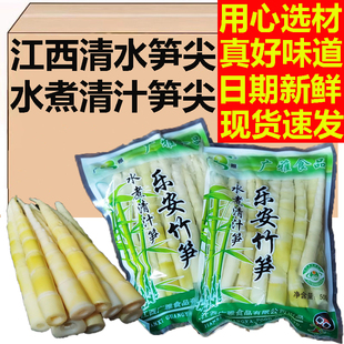 笋尖小竹笋新鲜春笋清水袋装火锅笋子特产笋罗汉笋嫩笋尖江西竹笋