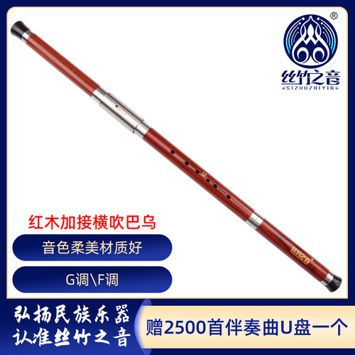 巴乌小学生成人入门横吹红木专业