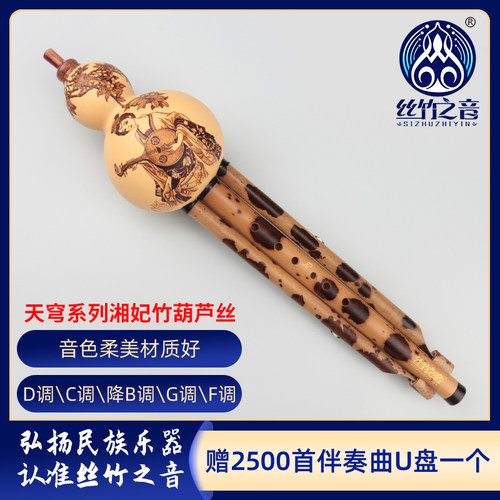 丝竹之音天穹系湘妃竹纯手工烙画葫芦丝成人专业演奏型C调 降B调