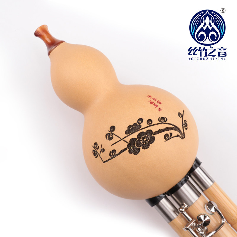 加键葫芦丝c调降b调成人专业演奏型云南乐器天然楠竹葫芦丝加三键