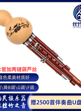 七孔葫芦丝加两键c调降b调f调g调专业演奏型成人黑檀木红木管乐器