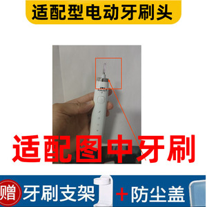 适配型电动牙刷头软毛