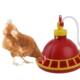 Fed Chick Hanging Plastic Poultry Feeder Durable