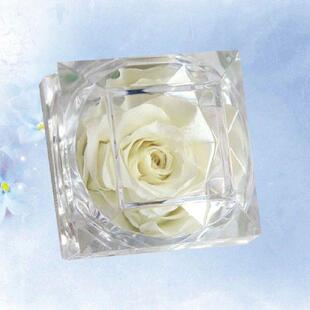 Preserved Flower Miss The Gift Eternal Yellow Rose