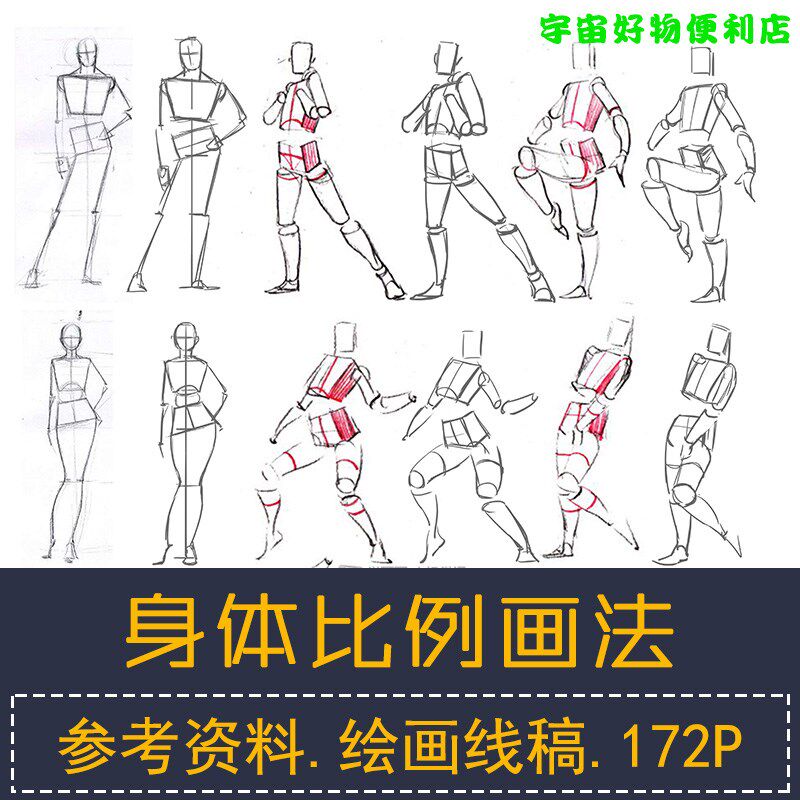 漫画男女身体比例结构画法 动画人体画法 临摹线稿素材图 cg资料
