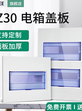 pz30配电箱盖板定制家庭开关箱面板强电箱盖家用电表箱空开箱盖子