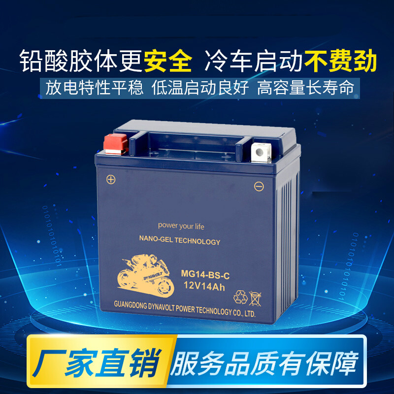 猛狮摩托车电瓶适用哈雷883宝马1200RT 12V12A/14A/20A大排量电池