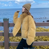 【有现货】【主推款】时尚加厚50丝绒羽绒服女短款898-P270-K408，女装羽绒服，浙宝176（原073）