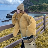 【有现货】【主推款】时尚加厚50丝绒羽绒服女短款898-P270-K408，女装羽绒服，浙宝176（原073）