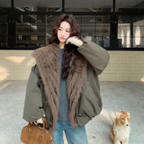 【有现货】【真狐狸毛】时尚加厚50绒派克羽绒服女8997-P355-K528，女装羽绒服，浙宝176（原073）