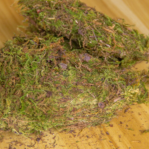 蝴蝶兰石斛兰干苔覆盖材料透水透