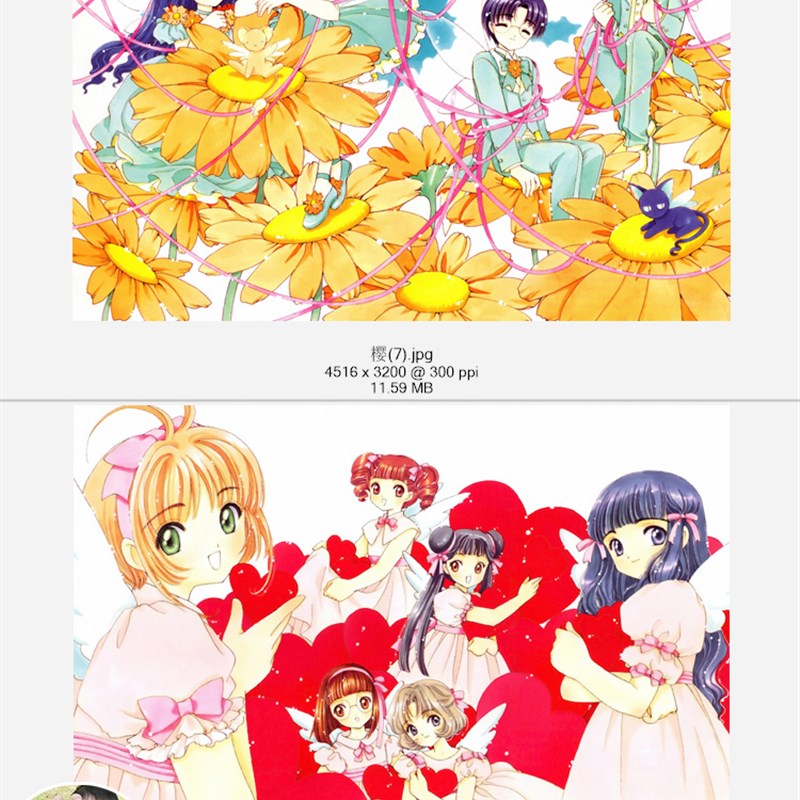 魔卡少女樱库洛魔法使小樱超高清4k8k壁纸原画插画jwpg大图片素材