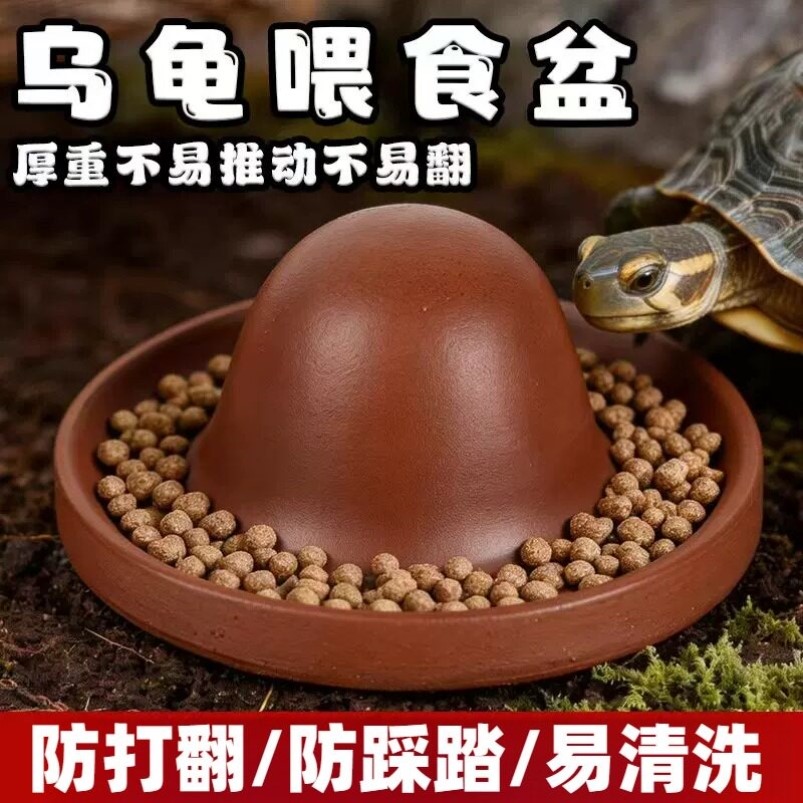 乌龟食盆黄缘半水龟食盘水盘防踩踏喂食盆防污食盆饮水器爬宠专用