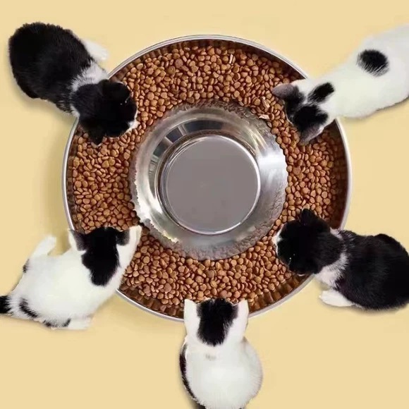 多猫食盆繁育碗大饭盘猫粮碗幼猫犬专用盆不锈钢超大号防打翻宠物