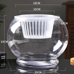 【特大号】水培植物玻璃瓶 水培绿萝花瓶花盆玻璃圆球 鱼缸容器皿