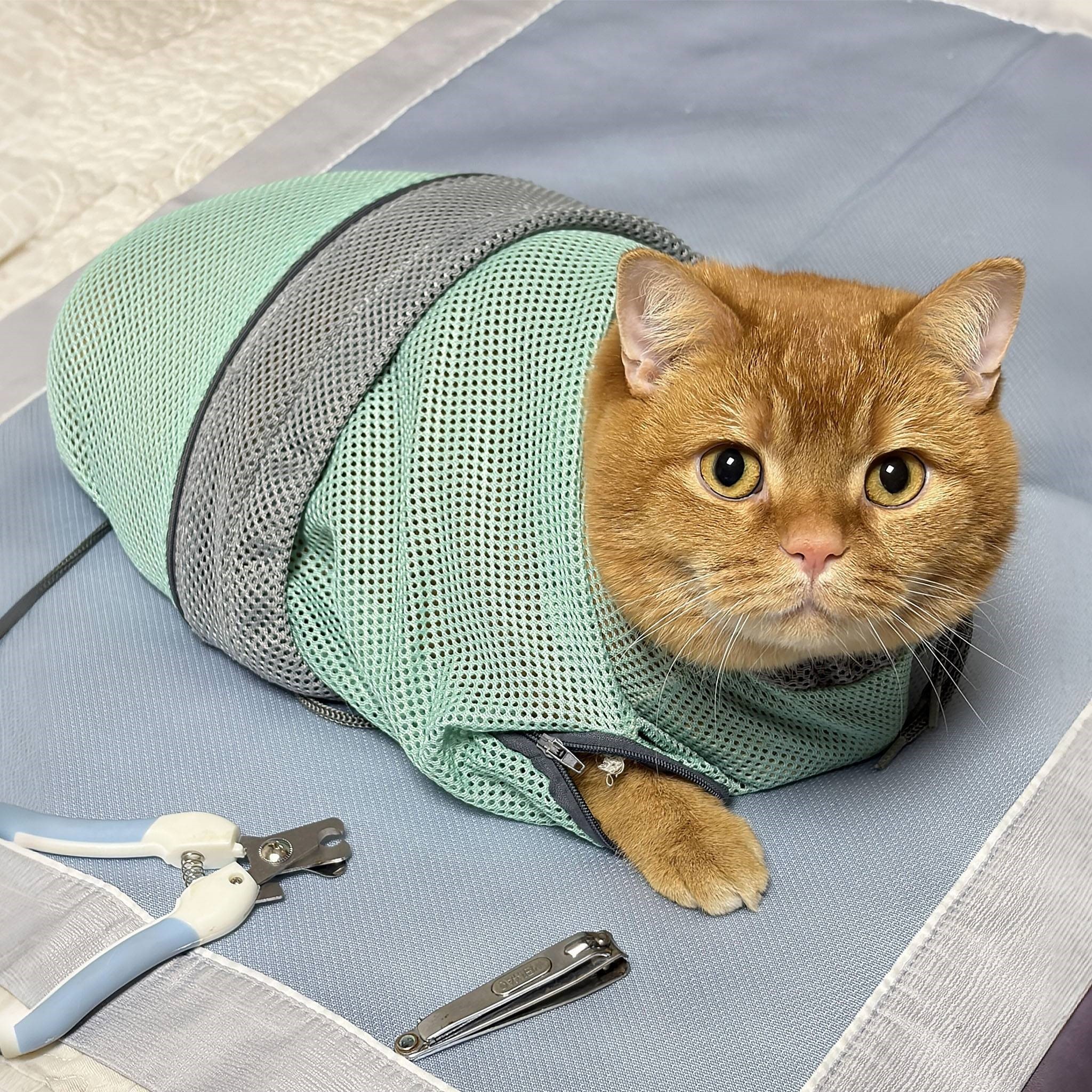 【美容神器】洗猫袋猫咪剪指甲掏耳朵束缚带宠物护理防抓咬固定袋